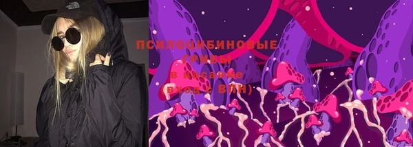 гашик Алексин