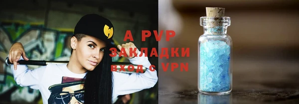 apvp Алзамай