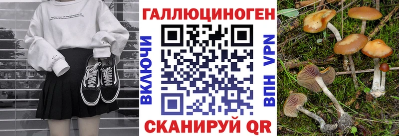 как найти закладки  Уссурийск  Псилоцибиновые грибы прущие грибы 